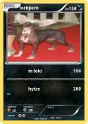torbjiorn