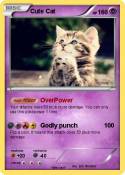 Cute Cat