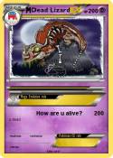 Dead Lizard