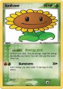 Sunflower