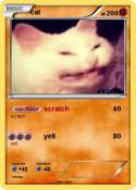 cat