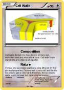Cell Walls