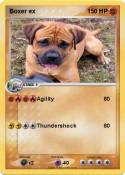 Boxer ex