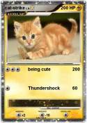 cat-strike