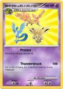 bird trio