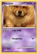 chow-chow