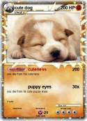 cute dog