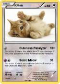Kitten