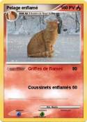 Pelage enflamé