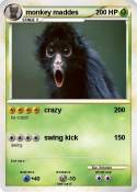 monkey maddes