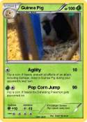 Guinea Pig