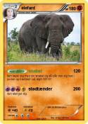 elefant