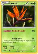tropica EX