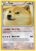 Doge