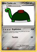 Mine Turtle