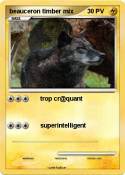beauceron timbe