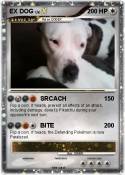 EX DOG