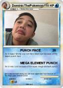 DominicThePokem