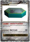 Cell Wall