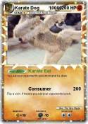 Karate Dog 1000