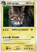 Griffe de tigre