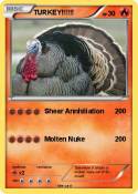 TURKEY!!!!!!
