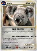 koala