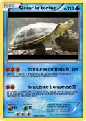 Oscar la tortue