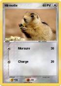 Mirmotte