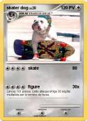 skater dog