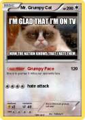 Mr. Grumpy Cat