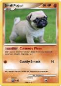Small Pug