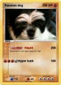 Random dog
