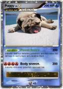 Puggy