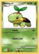 Turtwig