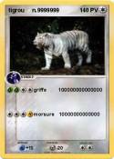 tigrou n.999999