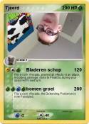 Tjeerd