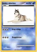 husky siberien