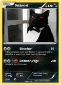 Sebbecat