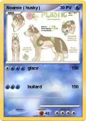 Noamie ( husky