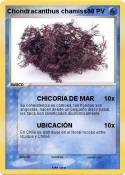 Chondracanthus