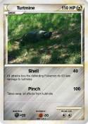 Turtmine