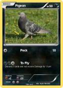 Pigeon