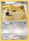 Doge