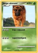 berger allemand