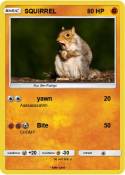 SQUIRREL