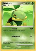 Turtwig