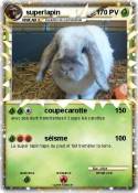 superlapin