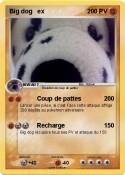 Big dog ex