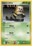 Dog In a Shoe